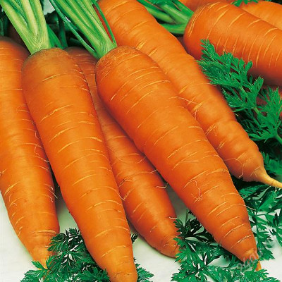 Морковь, полезные свойства
